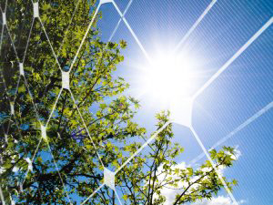 Скільки сонячних батарей може задовольнити споживання побутової електроенергії?