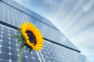 Jinko solar підписує першу партію замовлень для зберігання енергії в побуті у В'єтнамі