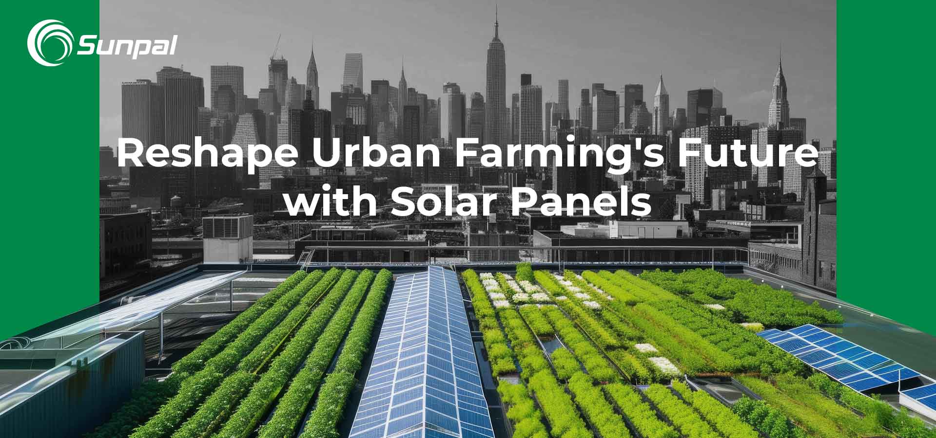 Сонячні дахи: зміна майбутнього міського сільського господарства